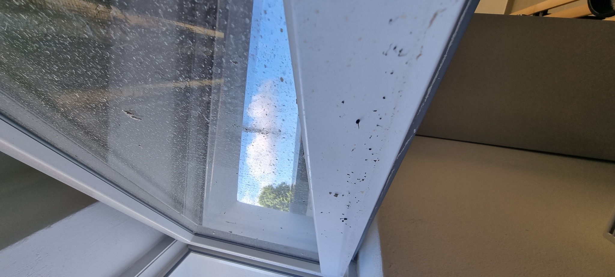 Fenster vor der Reinigung