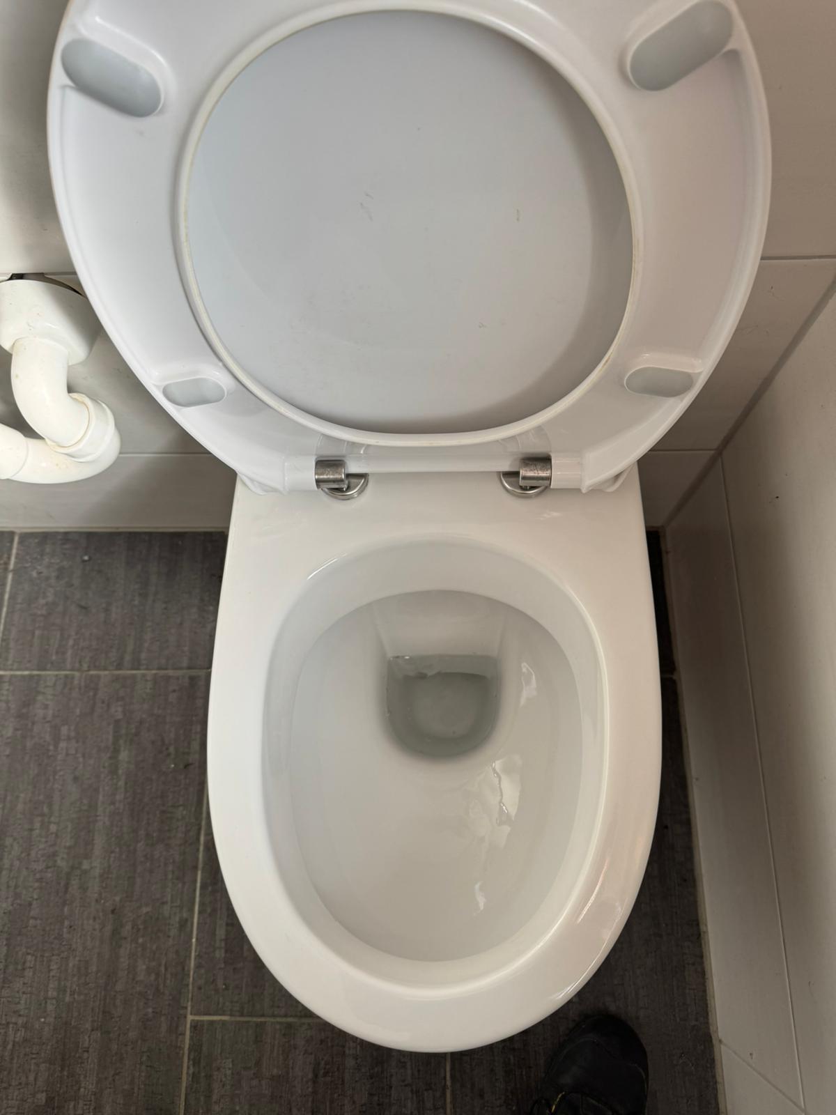 Toilette nach der Reinigung